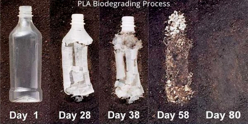 PLA biodegradation
